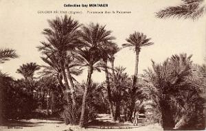 Colomb bechar 022- Collection Montaner_2